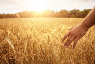 An Enchanting Prayer for Lughnasadh [5 Min Chant]