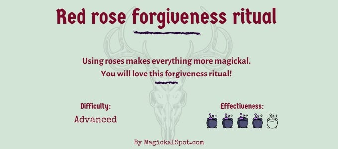 Red rose forgiveness ritual